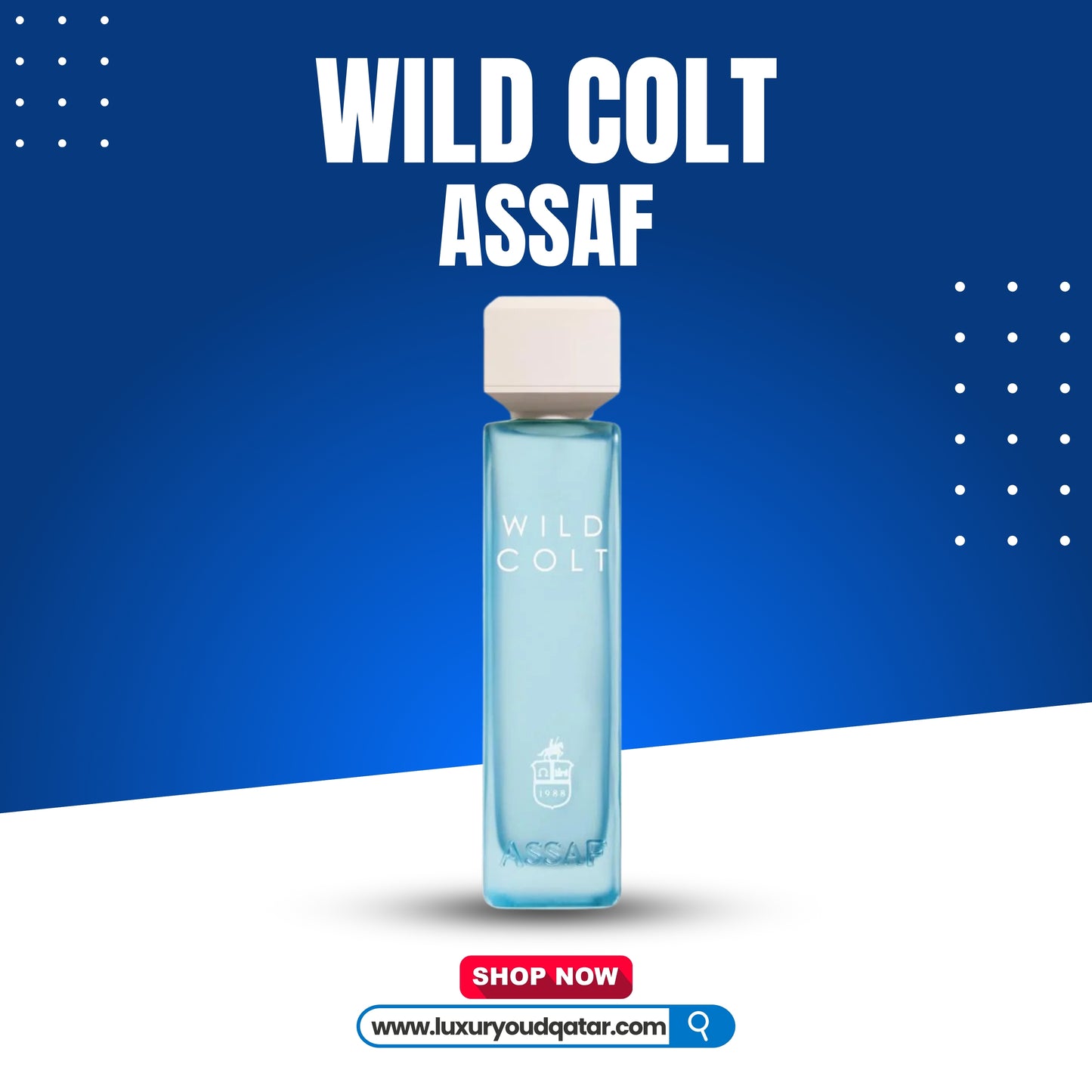 Wild Colt by Assaf