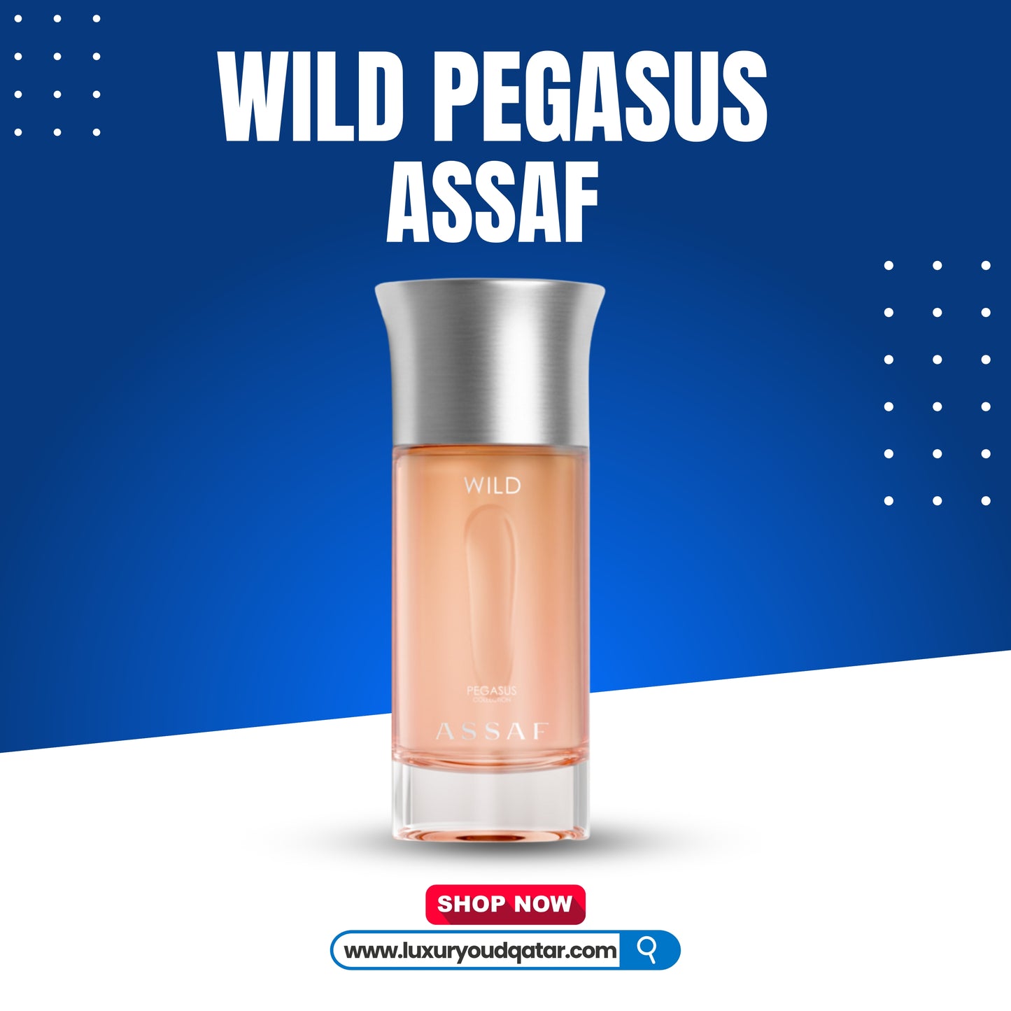 wild pegasus assaf
