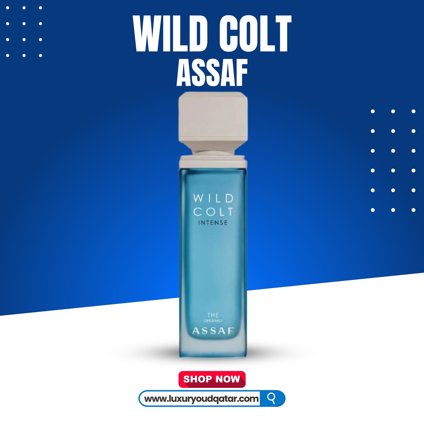 WILD COLT ASSAF 100ML