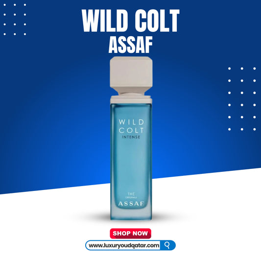 WILD COLT ASSAF 100ML