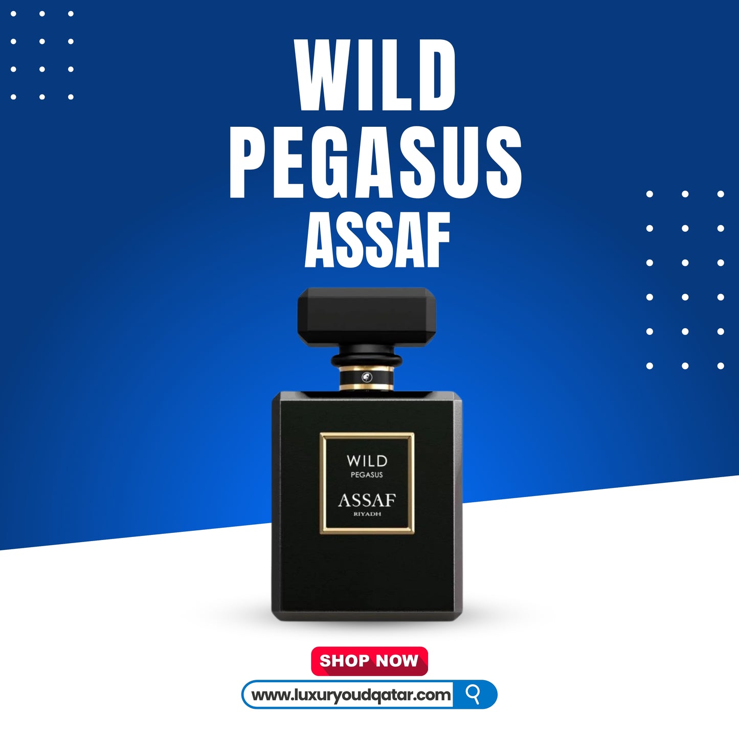Wild Pegasus by Assaf