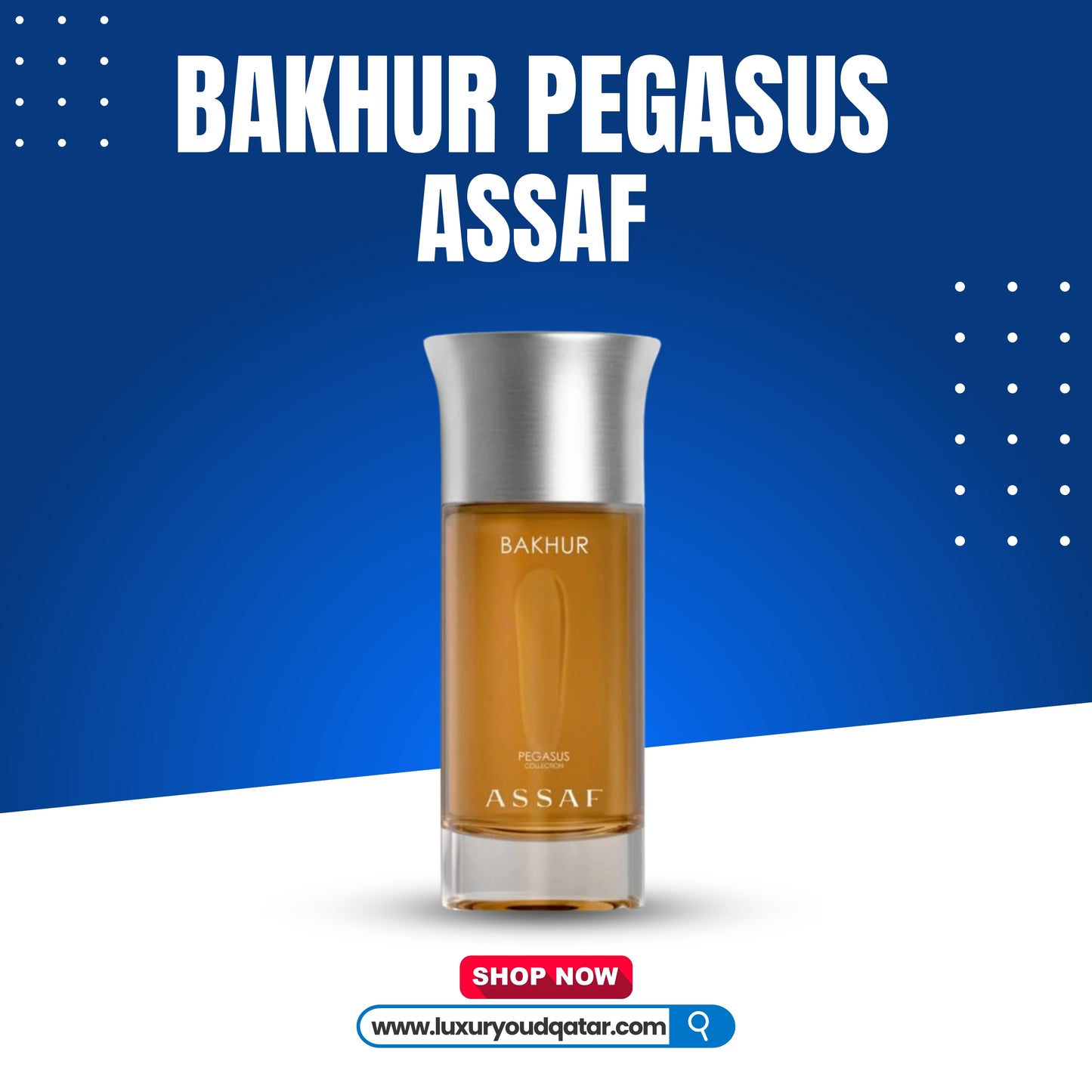 Bakhur pegasus assaf